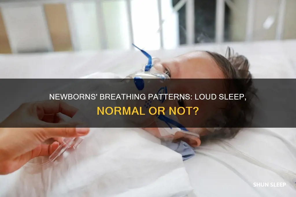 do newborns breathe loud when sleeping