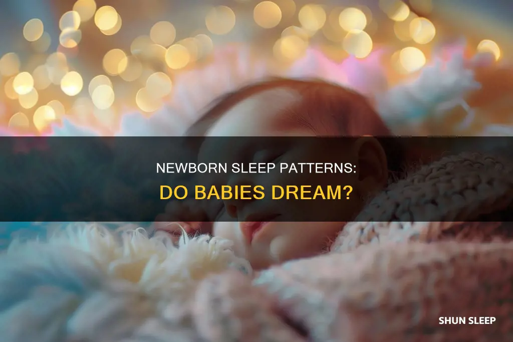 do newborns dream when they sleep