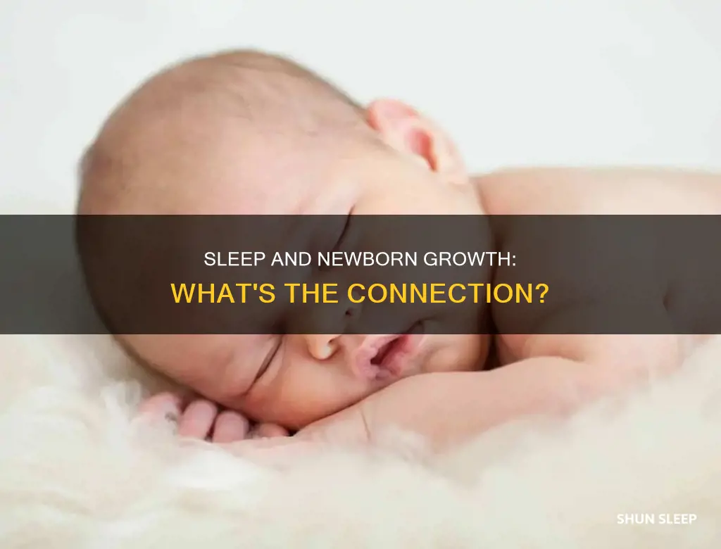 do newborns grow in their sleep