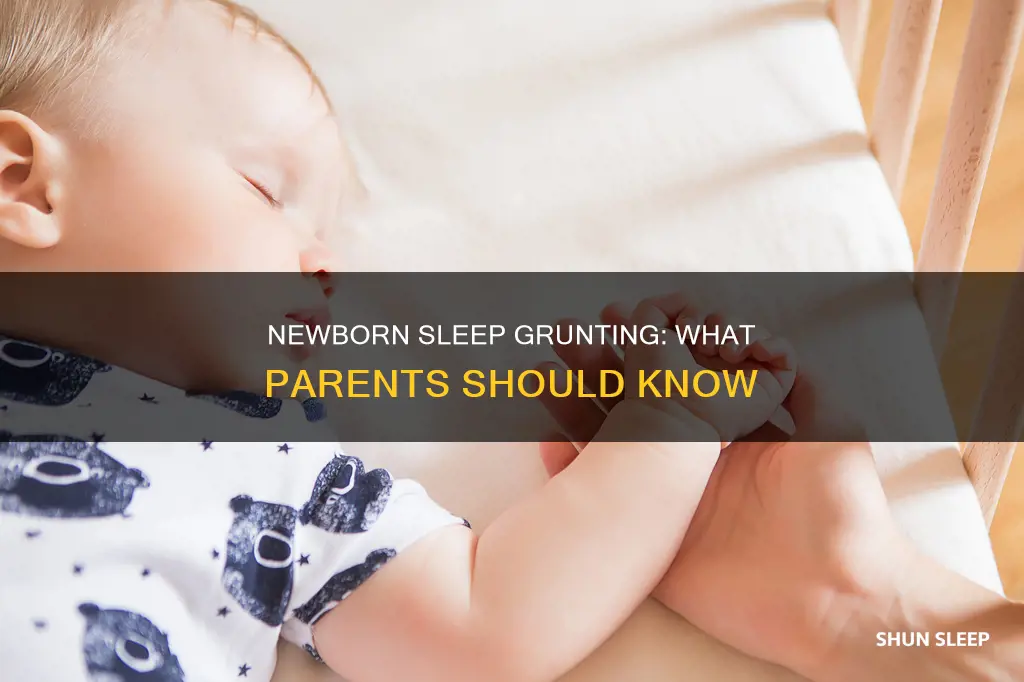 do newborns grunt in their sleep