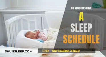 Sleep Schedules for Newborns: What's Normal?