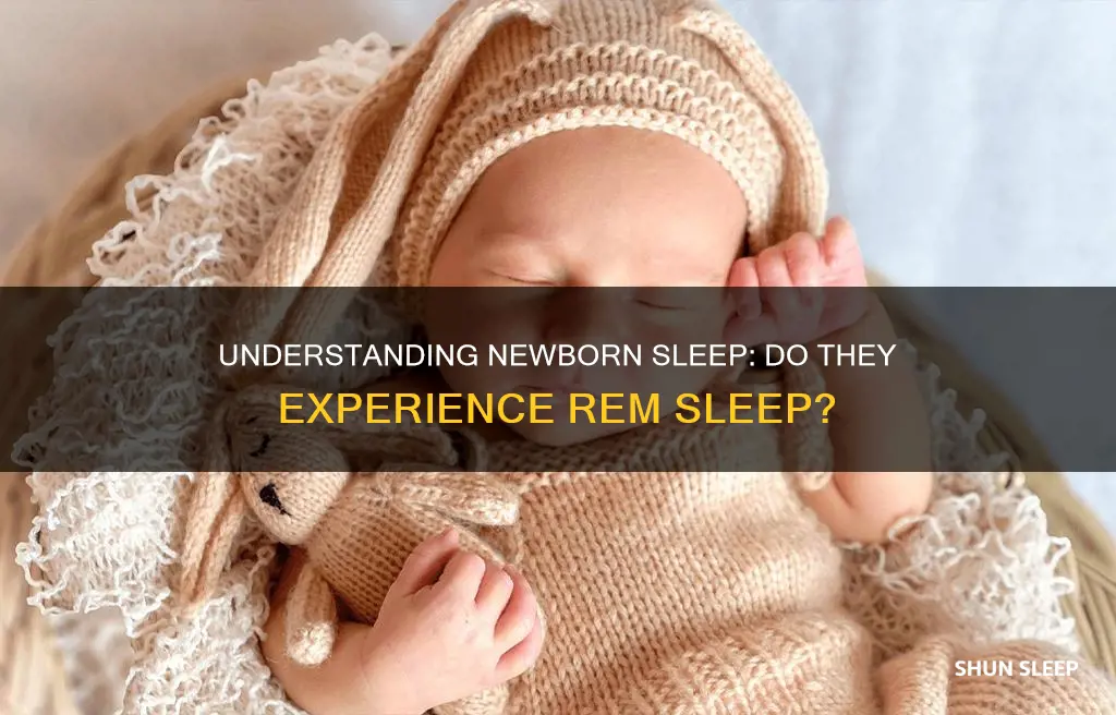 do newborns have rem sleep