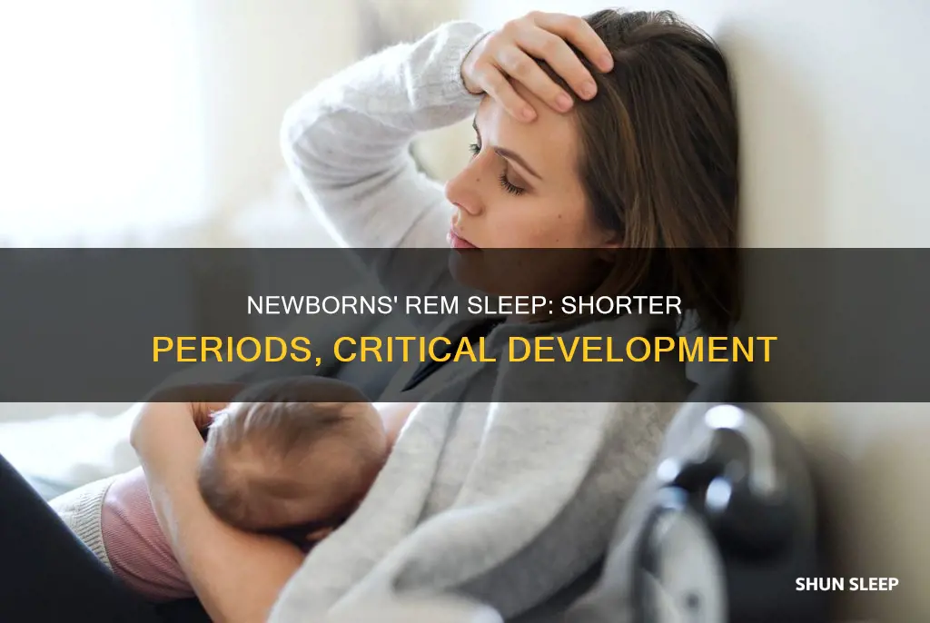 do newborns have shorter periods of rem sleep