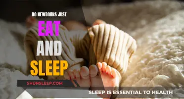 Newborns: Eat, Sleep, and the In-Betweens