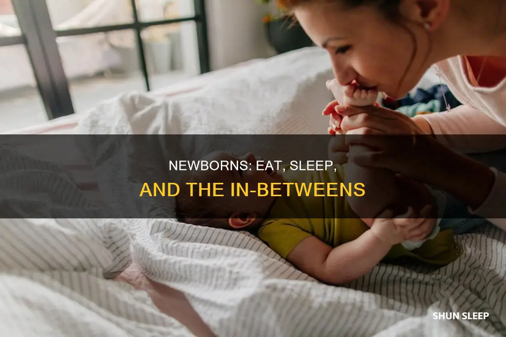 do newborns just eat and sleep