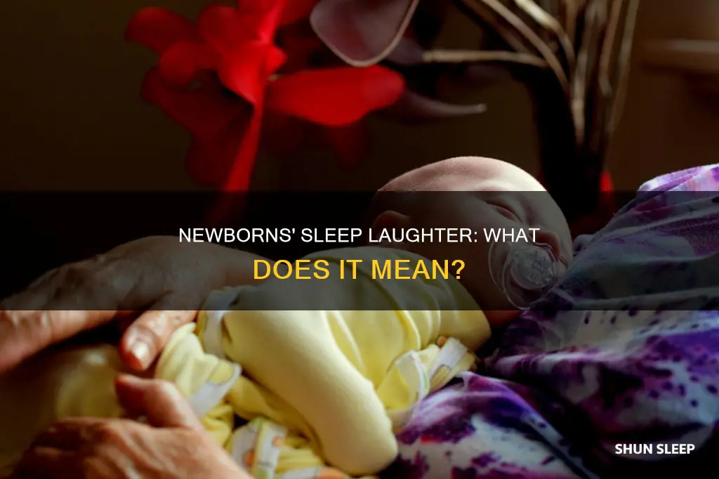 do newborns laugh in their sleep