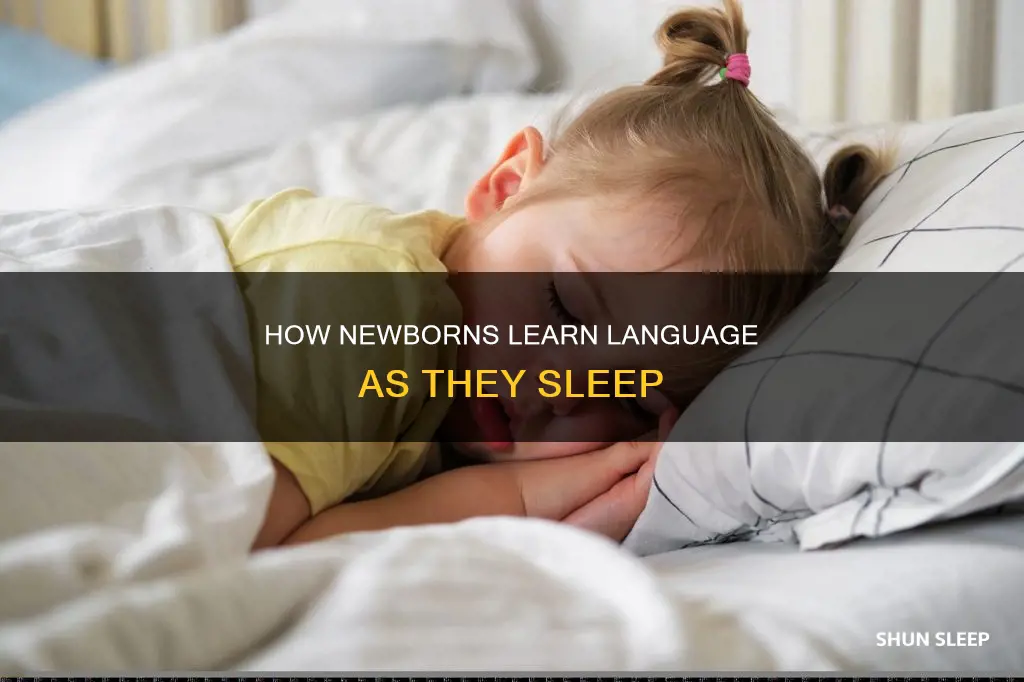do newborns learn language while sleeping
