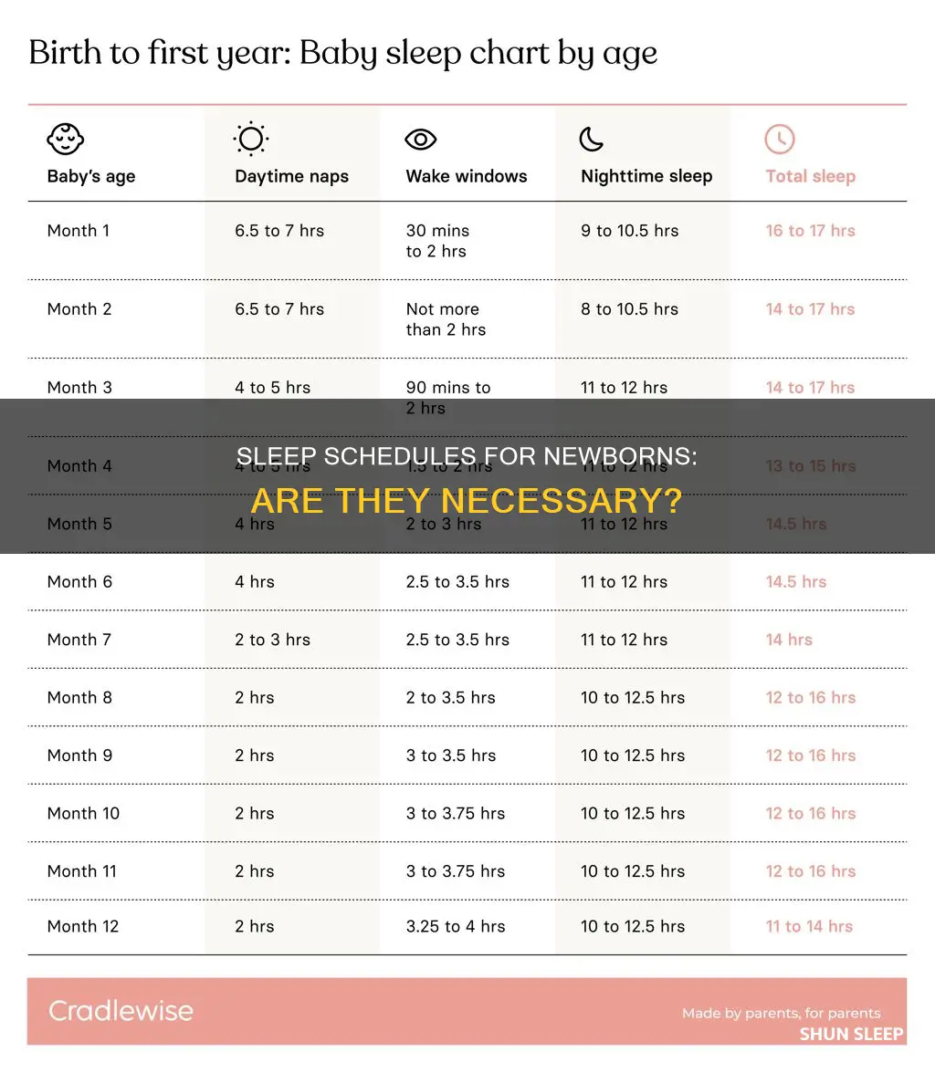 do newborns need a sleep schedule