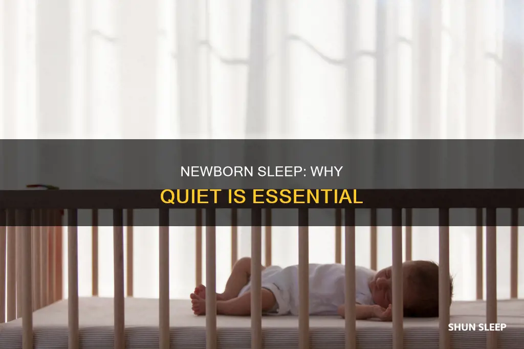 do newborns need quiet to sleep