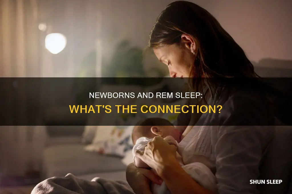 do newborns rem sleep