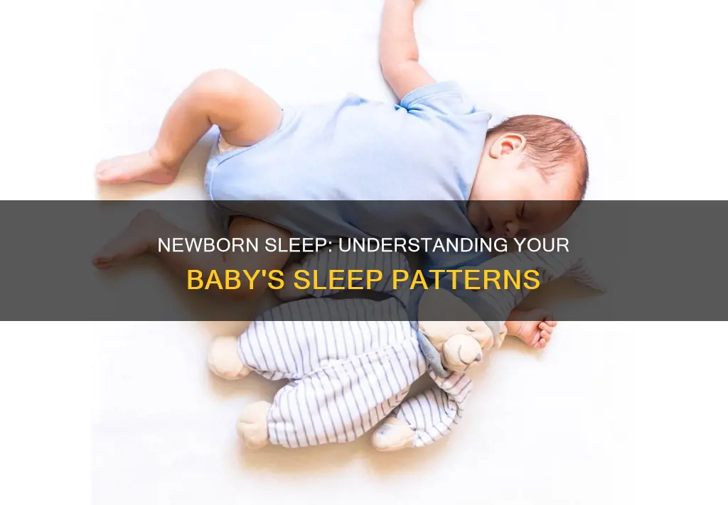 do newborns sleep a lot