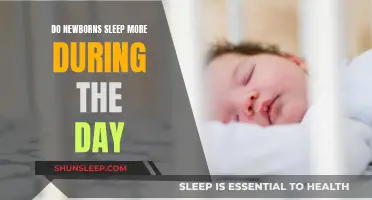 Daytime Sleep: Newborns' Sleep Patterns and Preferences