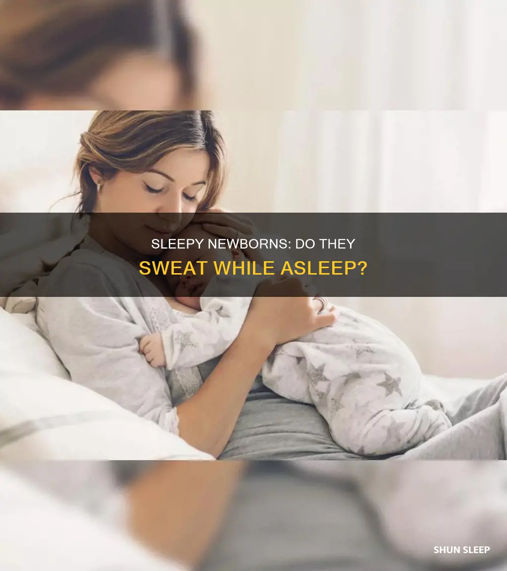 do newborns sweat their sleep
