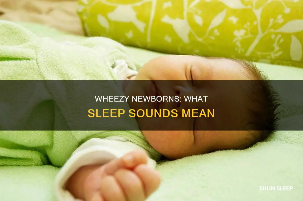 do newborns wheeze in their sleep