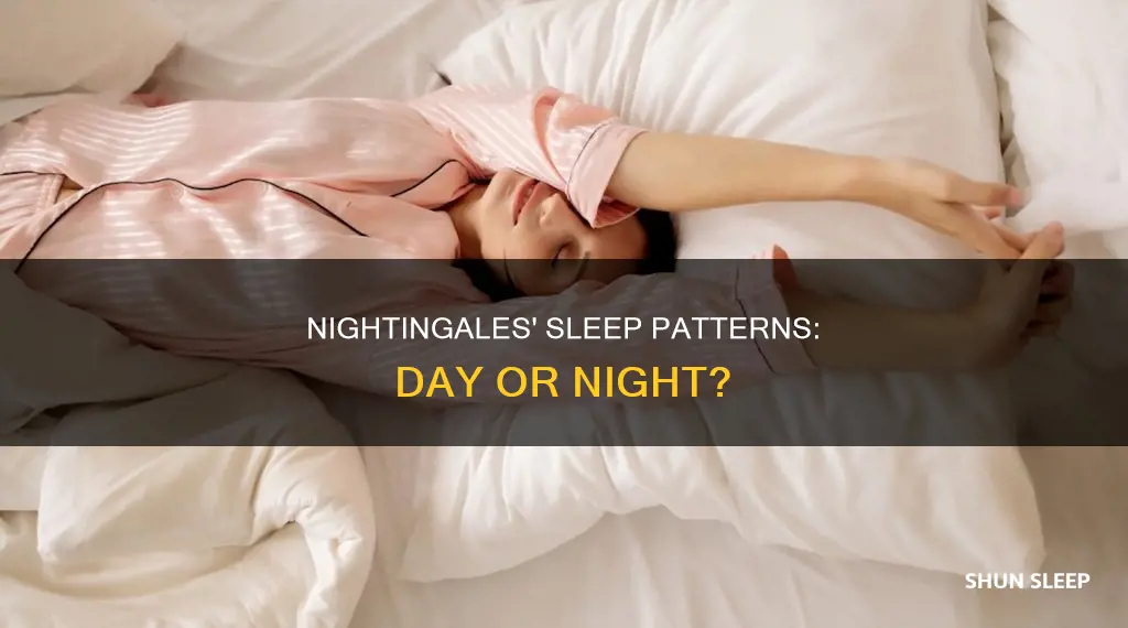 do nightingales sleep in the day