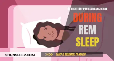 Panic Attacks in Sleep: REM Cycle's Role