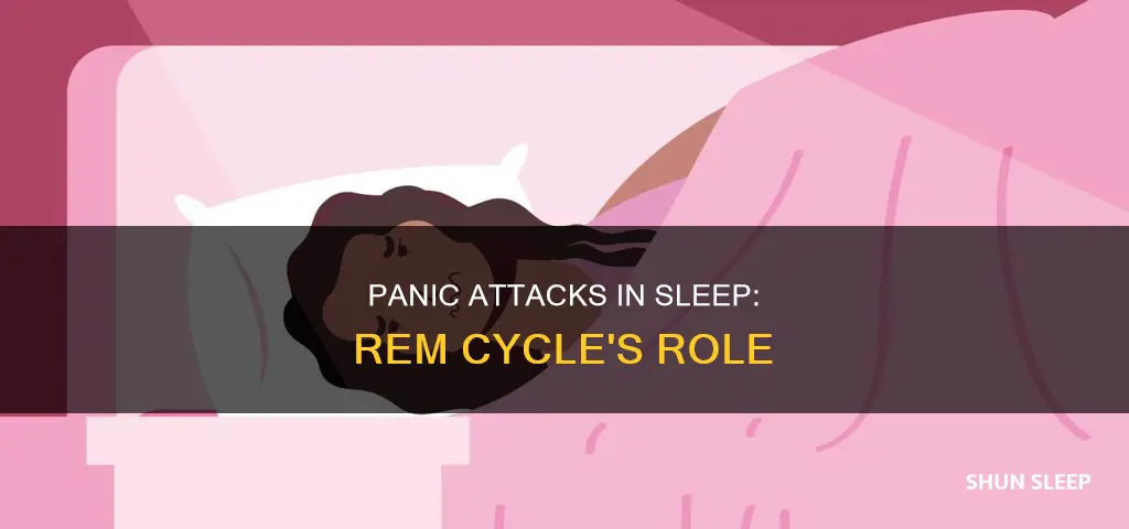 do nighttime panic attacks occur during rem sleep