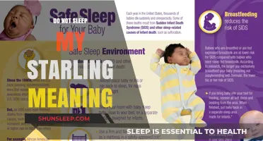 The Meaning Behind 'Do Not Sleep, My Starling
