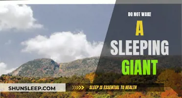 The Sleeping Giant: A Force to be Feared