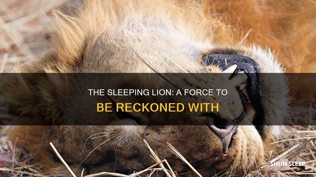 do not wake up the sleeping lion