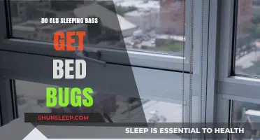 Can Aging Sleeping Bags Attract Bed Bugs? What You Need to Know