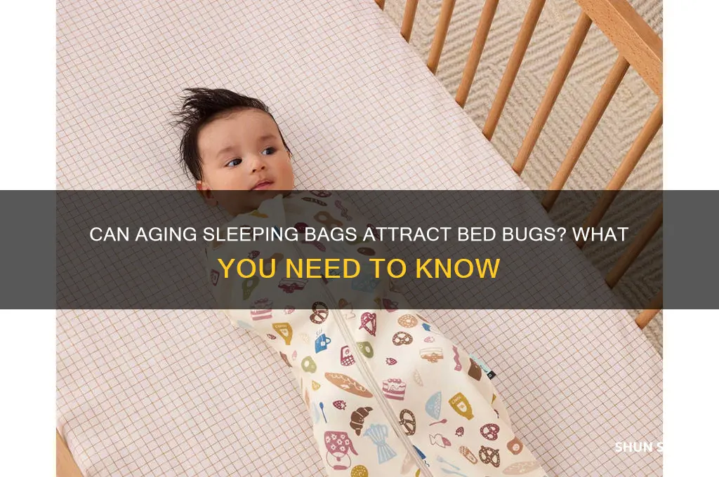do old sleeping bags get bed bugs