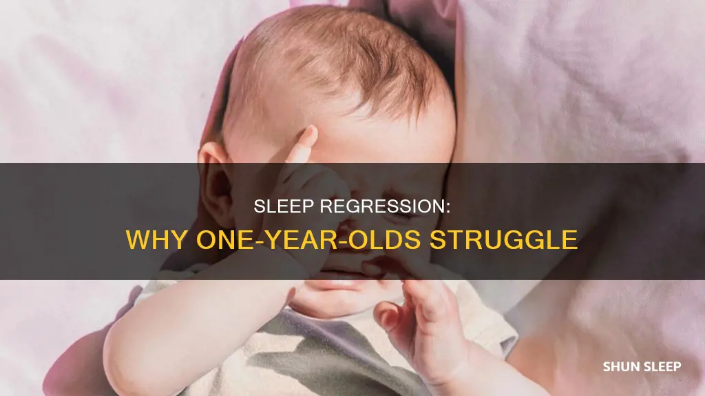 do one year olds have sleep regression