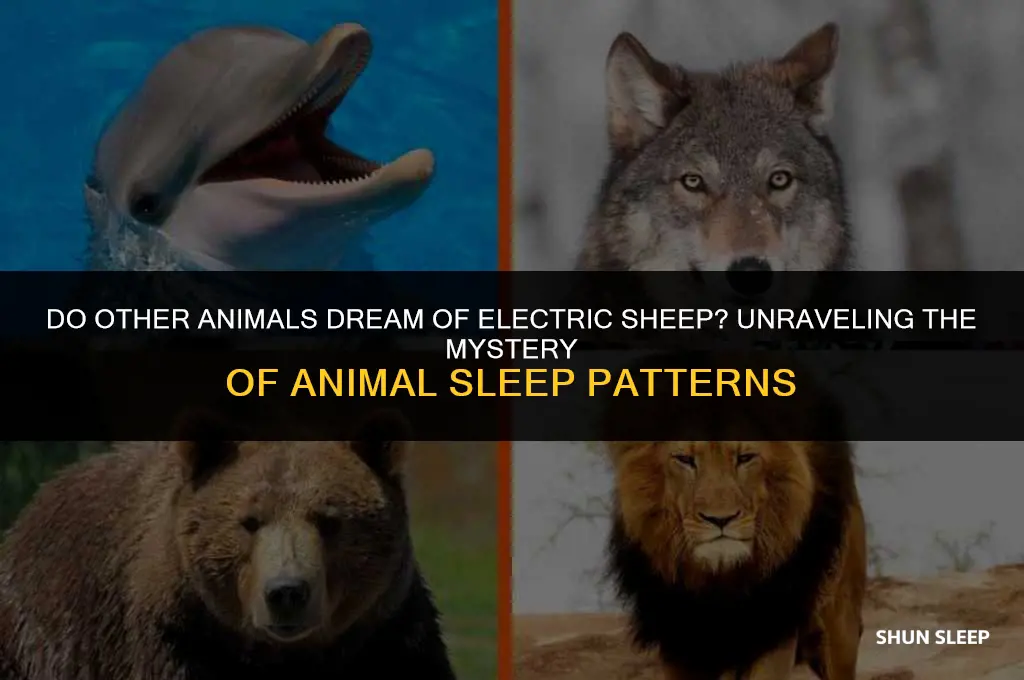 do other animals sleep for 8 hours