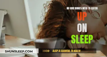 Catching Zzz's: Can We Make Up for Lost Sleep?