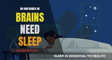 Why Our Brains and Bodies Need Sleep