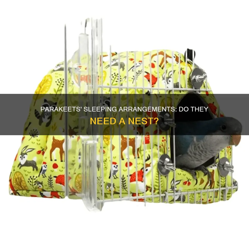 do parakeets need a nest to sleep