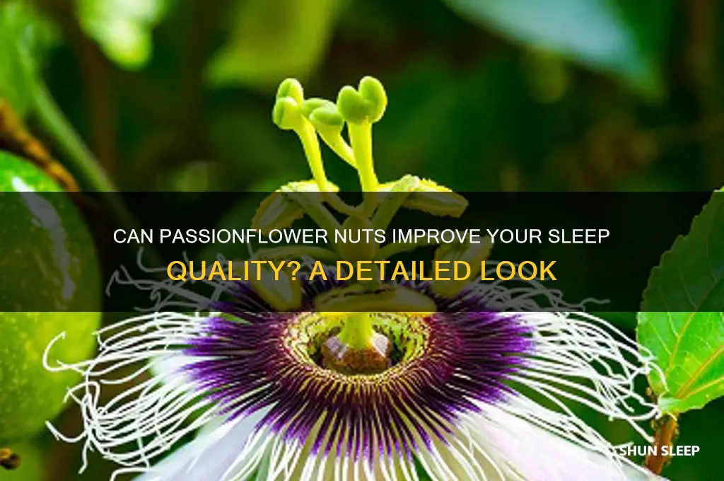 do pastracio nut help you sleep