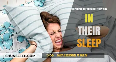 Sleep Talk: What's Conscious and What's Not?