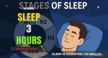 Sleepless Nights: The Surprising Truth About 3-Hour Sleep Cycles