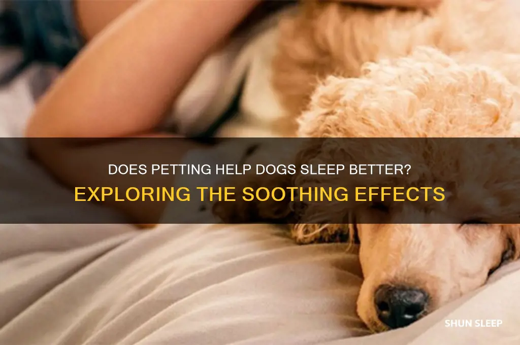 do petting help dogs sleep