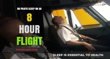 Do Pilots Sleep During Long Flights? An Insider's Perspective