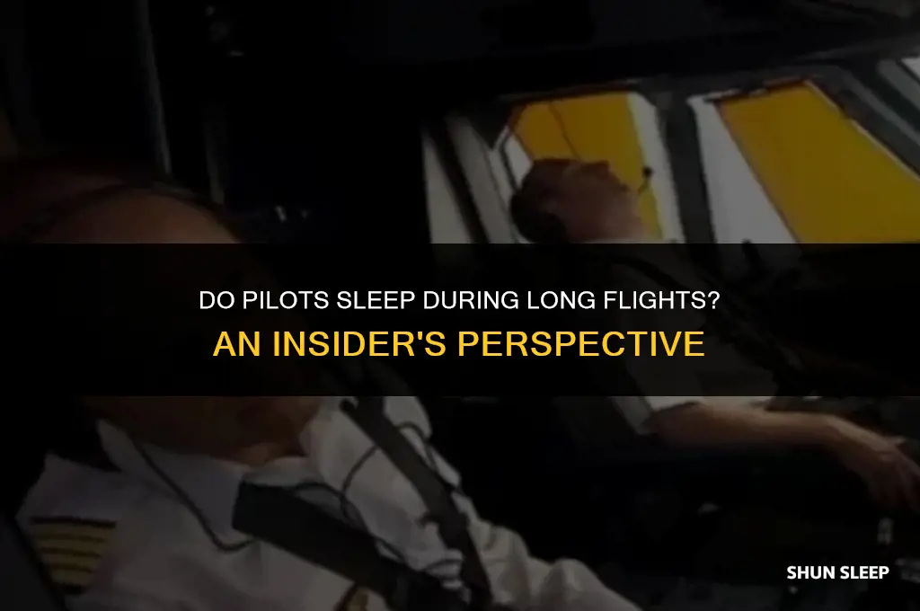 do pilots sleep on an 8 hour flight