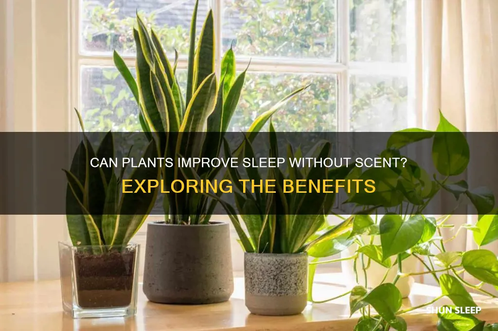 do plannts help sleep if can not smell