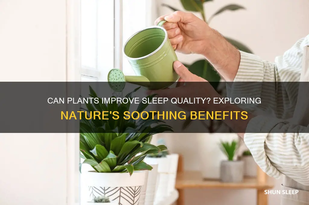 do plants help sleep