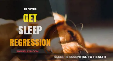 Puppy Sleep Regression: Understanding and Managing Nighttime Challenges