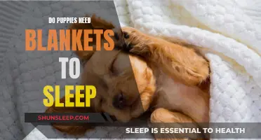 Blankets for Puppies: A Comforting Sleep Essential?