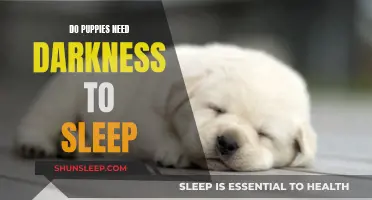 Puppies and Sleep: Darkness or Light?