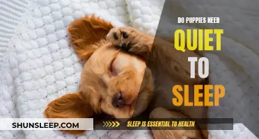 Puppies and Sleep: Do They Need Quiet to Rest?