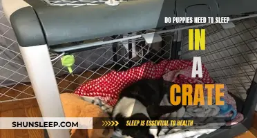 Crate Training Puppies: Should They Sleep in One?