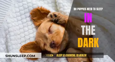 Puppies and Sleep: Do They Need Darkness?
