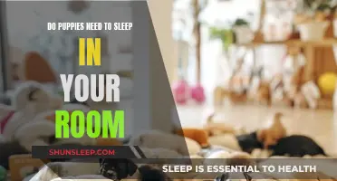 Puppies' Sleep: Should They Be In Your Room?