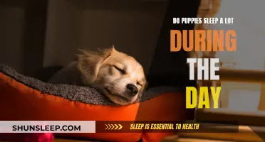 Puppies' Sleep Patterns: Daytime Naps and Nighttime Sleep