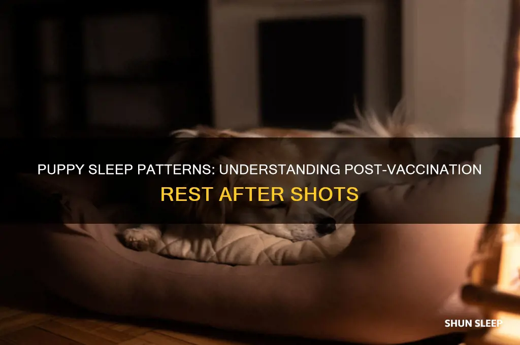do puppies sleep alot after getting shots