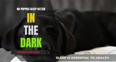 Puppies and Sleep: Lights On or Off?