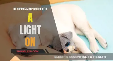Puppies and Night Lights: Do They Help Sleep?